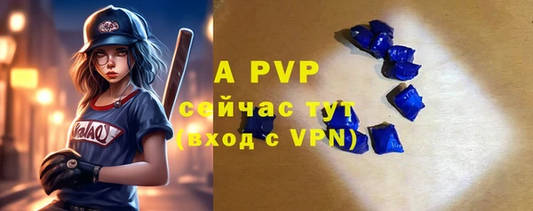 a pvp Бородино