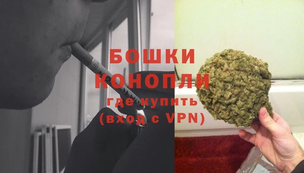 мдпв Мегион