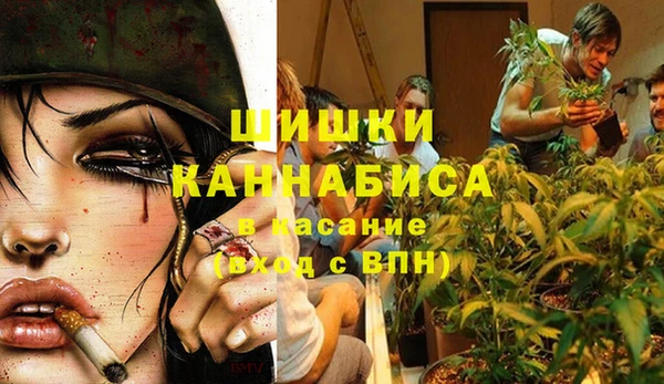 мдпв Мегион