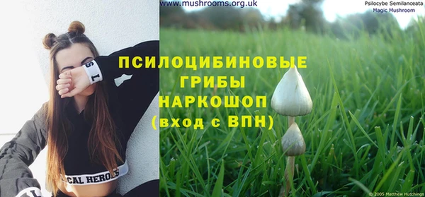 мдпв Мегион