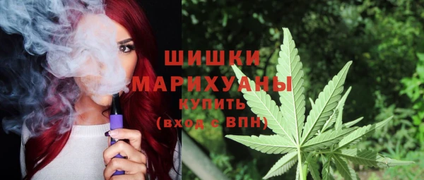 шишки Майский