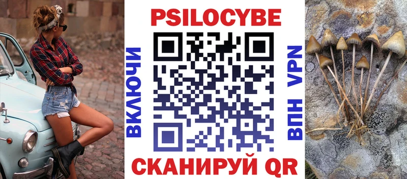 Псилоцибиновые грибы прущие грибы  OMG зеркало  Николаевск-на-Амуре  купить закладку 
