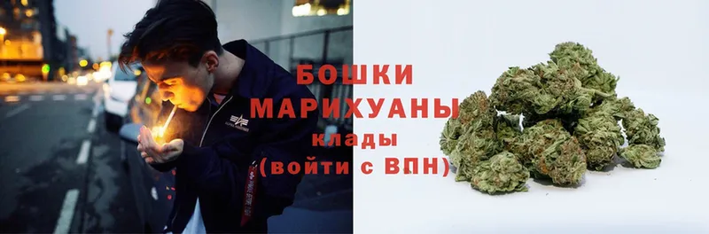 Бошки марихуана SATIVA & INDICA  где можно купить   Николаевск-на-Амуре 